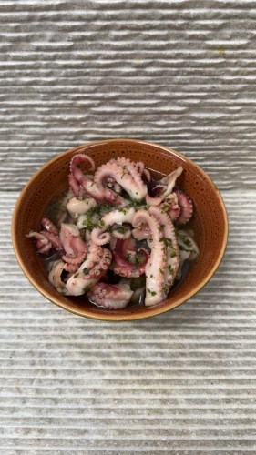 octopuspoten